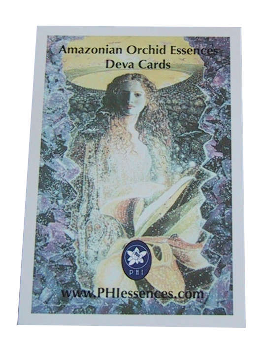 Amazonas Orchideen-Essenzen Deva-Karten – 20 Stück