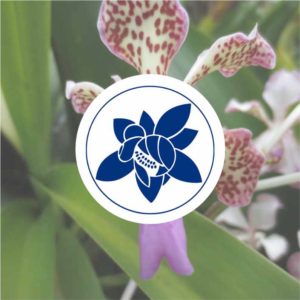Orchideen-Essenzen