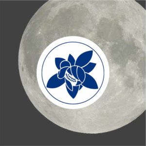 Planeten-Essenzen