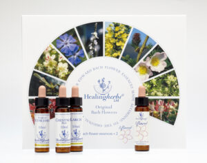 Healing Herb Set