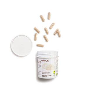 Hawlik® Hericium Extrakt Kapseln