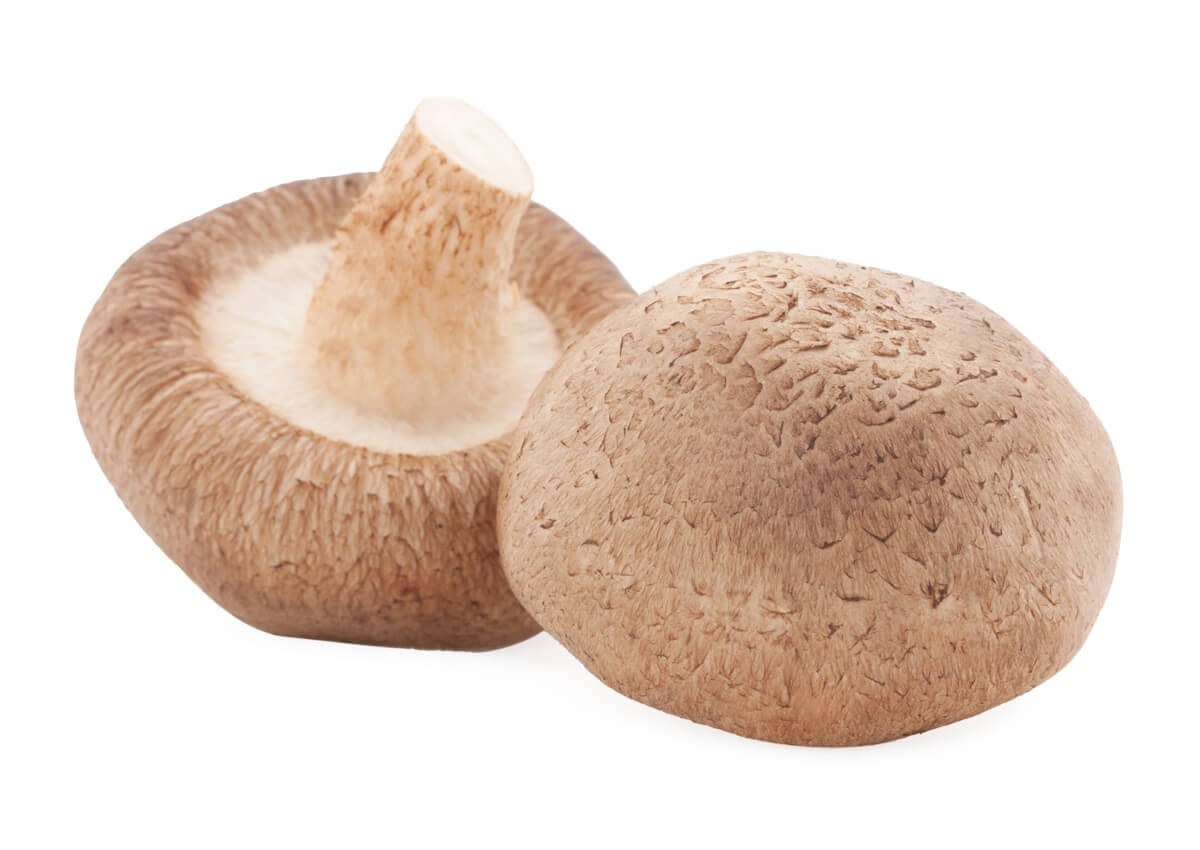 Hawlik® Shiitake Extrakt + Pulver Kapseln – Bild 2
