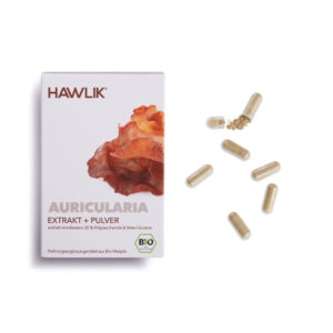 Hawlik® Auricularia Extrakt + Pulver Kapseln 60 Stück
