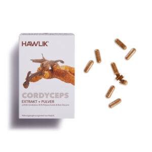 Hawlik® Cordyceps Extrakt + Pulver Kapseln