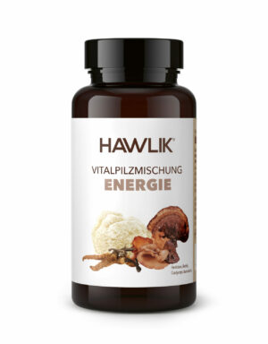Energie - Vitalpilzmischung