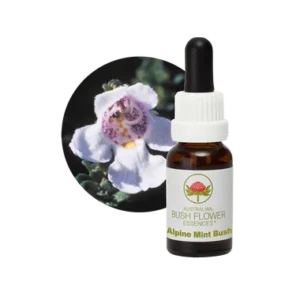 AU Alpine Mint Bush, 15ml