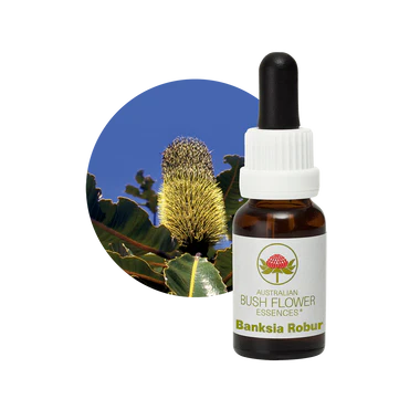AU Banksia Robur, 15ml