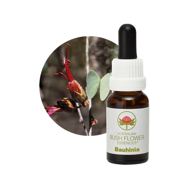 AU Bauhinia, 15ml