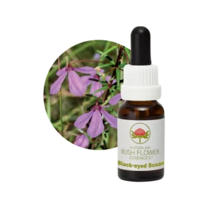 AU Black-Eyed Susan, 15ml