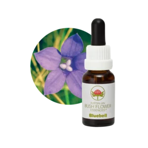 AU Bluebell, 15ml