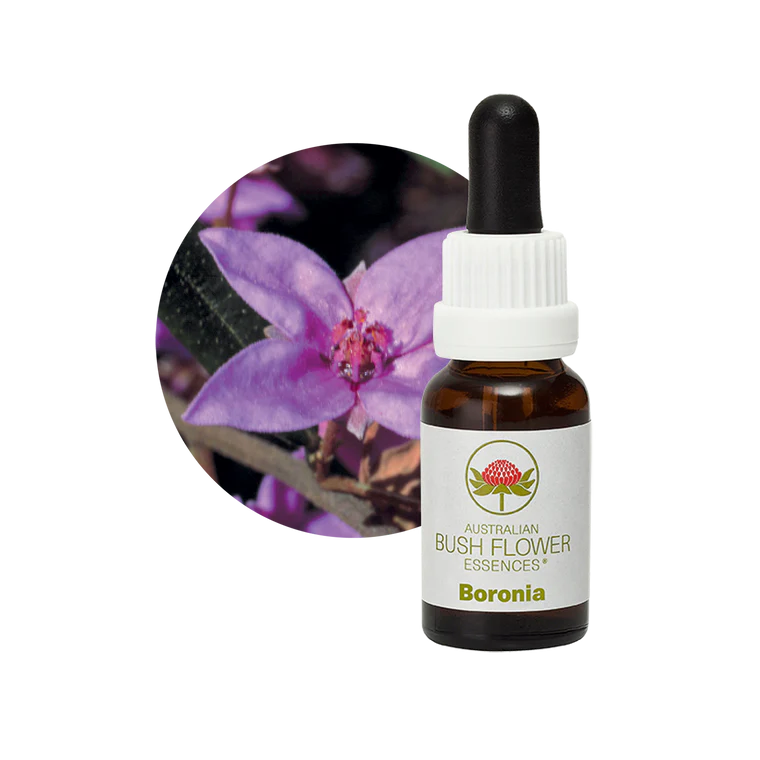 AU Boronia, 15ml