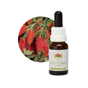 AU Bottlebrush, 15ml