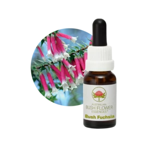 AU Bush Fuchsia, 15ml