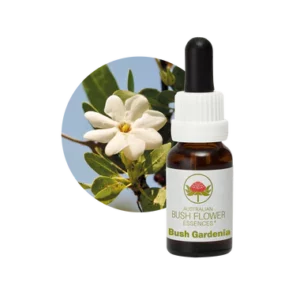 AU Bush Gardenia, 15ml