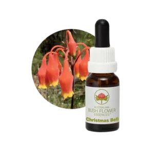 AU Christmas Bell, 15ml