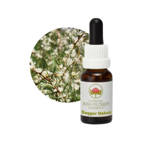 AU Dagger Hakea, 15ml