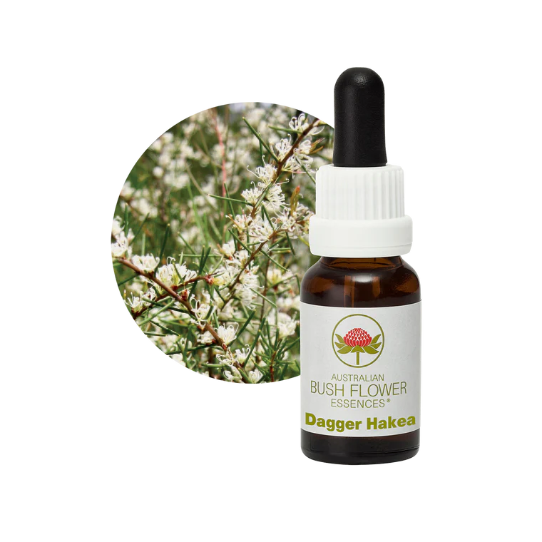 AU Dagger Hakea, 15ml