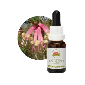 AU Five Corners, 15ml