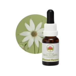 AU Flannel Flower, 15ml