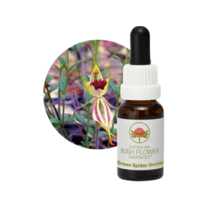 AU Green Spider Orchid, 15ml