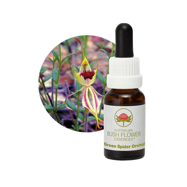 AU Green Spider Orchid, 15ml