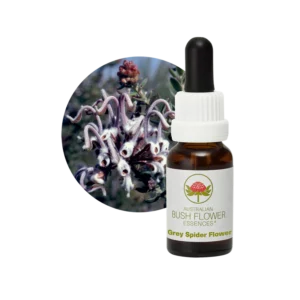 AU Grey Spider Flower, 15ml