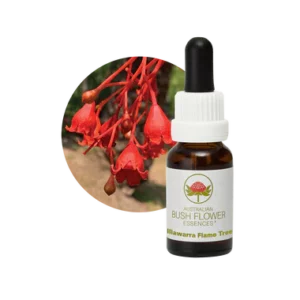 AU Illawarra Flame Tree, 15ml