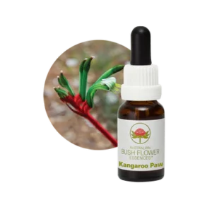 AU Kangaroo Paw, 15ml