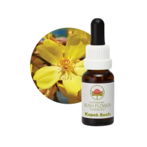 AU Kapok Bush, 15ml