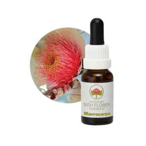 AU Macrocarpa, 15ml