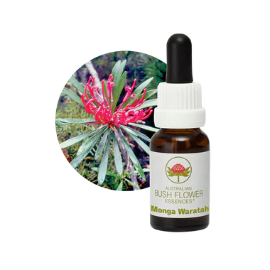 AU Monga Waratah, 15ml