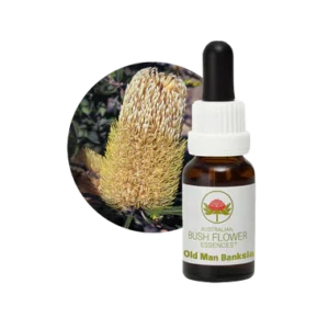AU Old Man Banksia, 15ml
