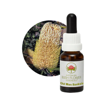 AU Old Man Banksia, 15ml