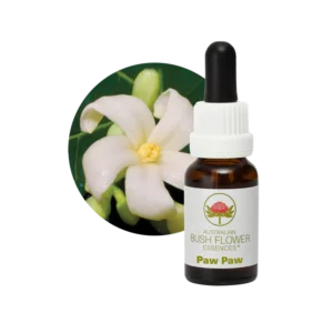 AU Paw Paw, 15ml