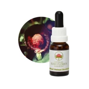 AU Red Helmet Orchid, 15ml