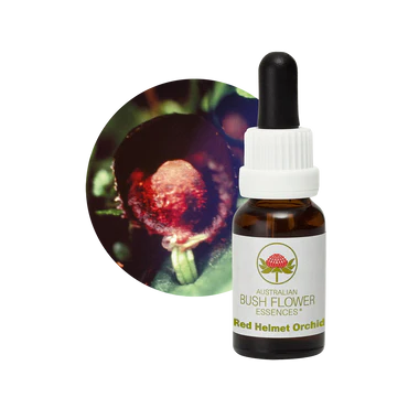 AU Red Helmet Orchid, 15ml