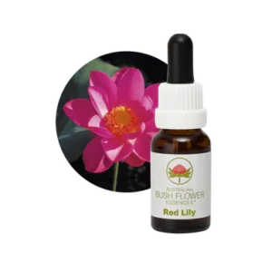 AU Red Lily, 15ml