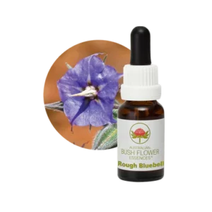 AU Rough Bluebell, 15ml