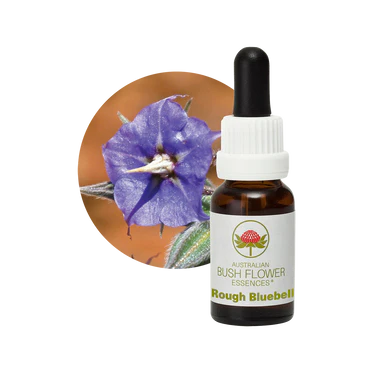 AU Rough Bluebell, 15ml