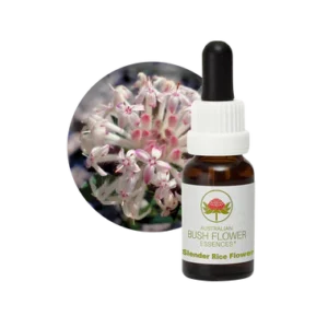 AU Slender Rice Flower, 15ml
