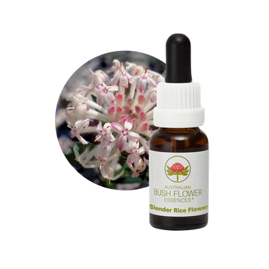 AU Slender Rice Flower, 15ml