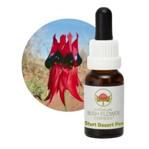 AU Sturt Desert Pea, 15ml