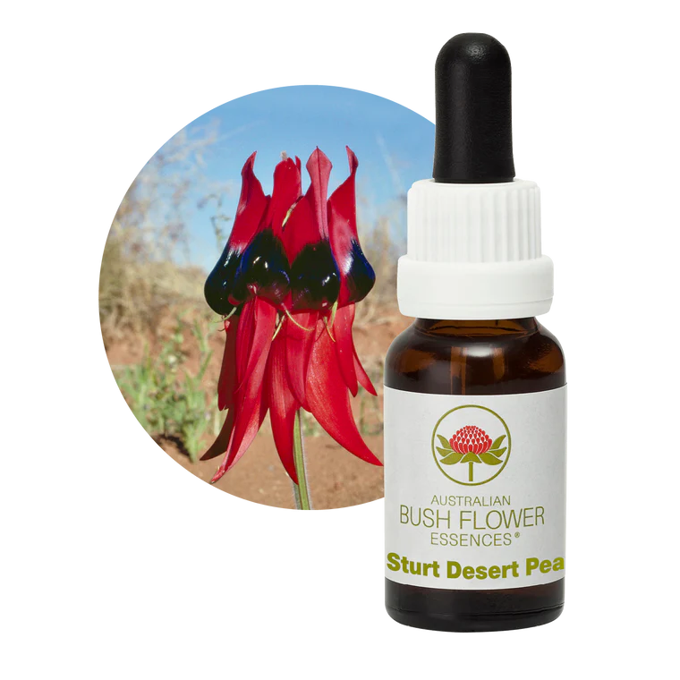 AU Sturt Desert Pea, 15ml