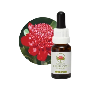 AU Waratah, 15ml