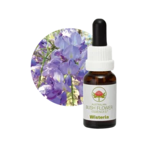 AU Wisteria, 15ml