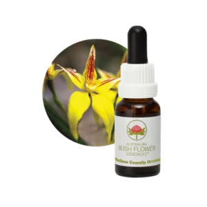 AU Yellow Cowslip Orchid, 15ml