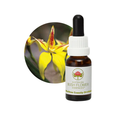 AU Yellow Cowslip Orchid, 15ml
