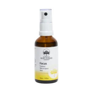 AUS Raumspray - Konzentration (Focus), 50ml